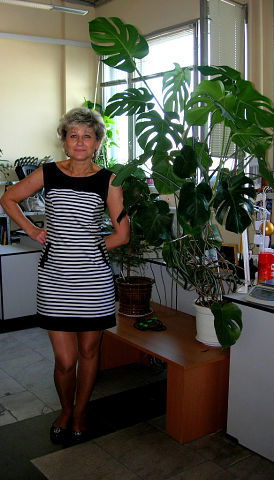 Татьяна Холомкина