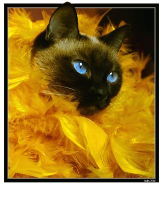 Людмила Людмила