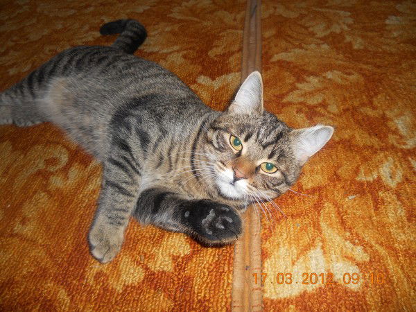 Наталья Елагина