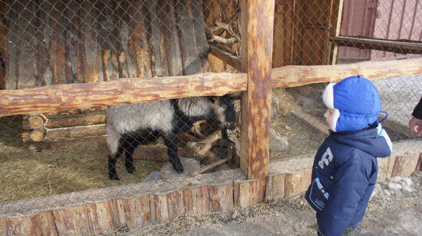 Виталя Белокопытов