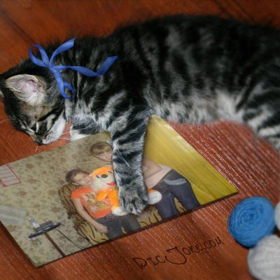 Влада Иванина