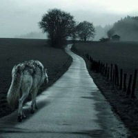 Олег Калюжный