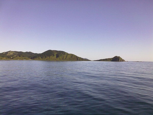 Максим Гуничев