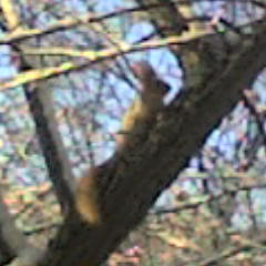 Гулзада Салыкова