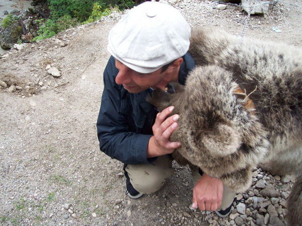 Алексей Волков