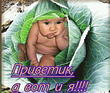 Юрий Максимов