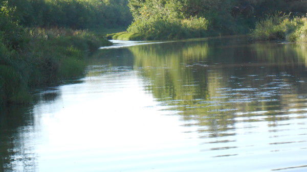 Сергей Колос