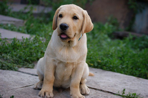 Оля Кадошникова