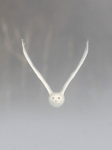 Мария Фролова