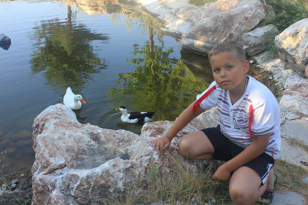 Максим Шарапов