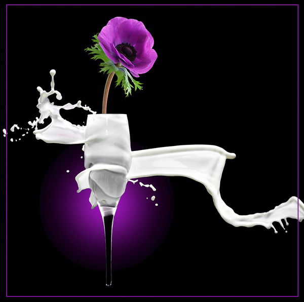 Елена Романенко