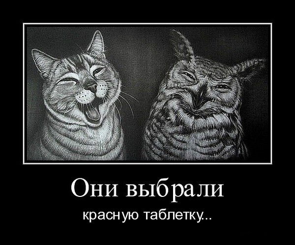 Настя Мухина