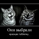 Настя Мухина
