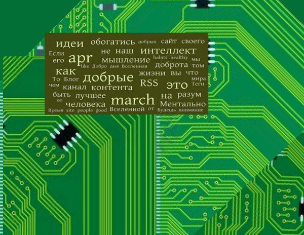 Маргарита А. Лапина