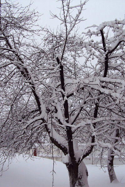 Евгений Зимин