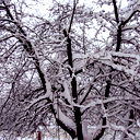 Евгений Зимин