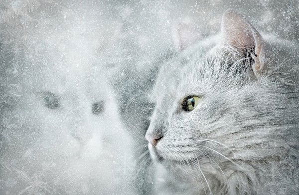 Олександр \