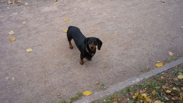 Дмитрий Алексеев