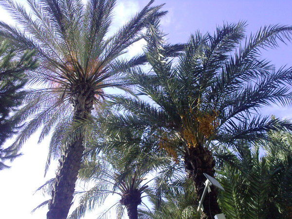 Мадина Касымова