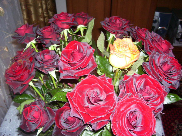 Гульмира Бексеитова