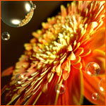 Казима Смайлова