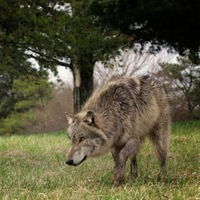 Саня Якимов