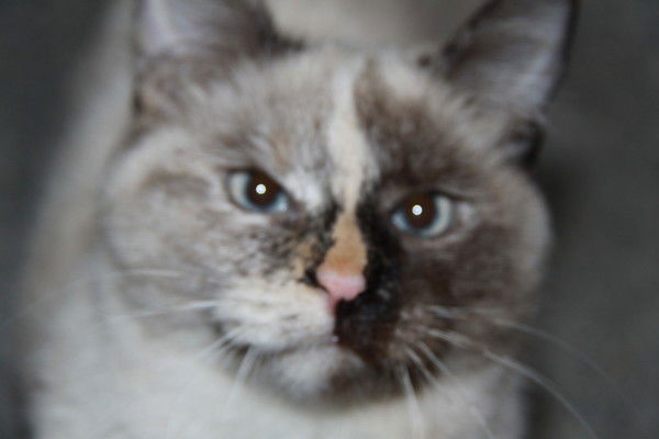 Геннадий Кузнецов