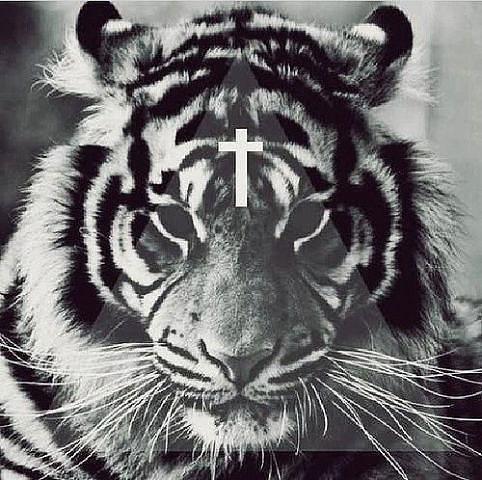 † Marina Shady †