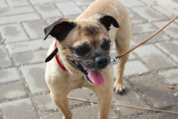 Ася Маслова