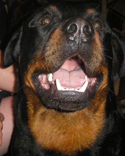 Олег Спицын