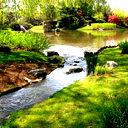 Чернова Ольга