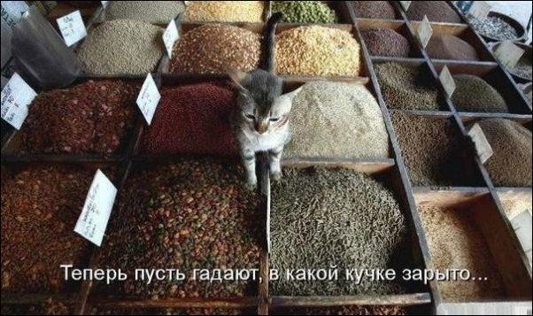 имеет ли право человек ставить личные интересы выше общественных