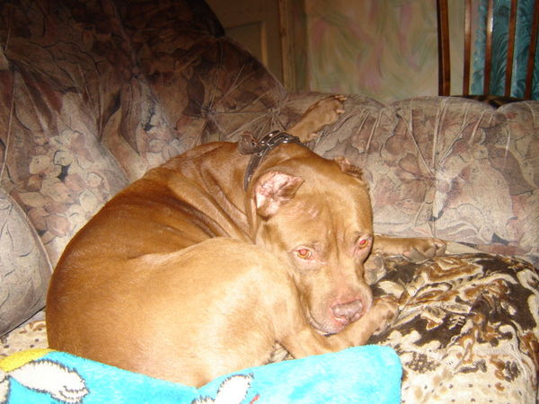 Виктория Лосева