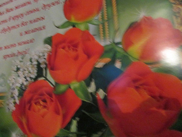 Ольга Кукшина