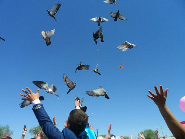 Акмарал Жунус