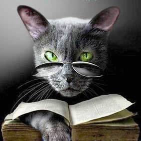 Павел Дегтярёв