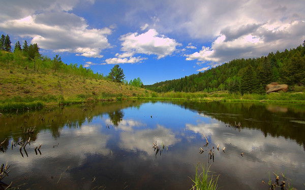 Татьяна Викторовна