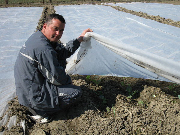 Анатолий Липовой