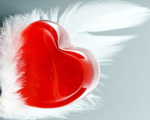 Дарья Садкова