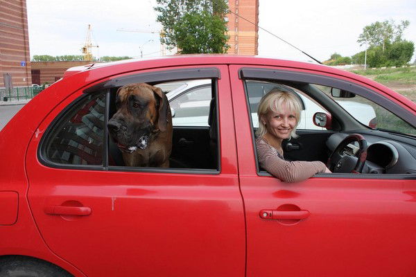 Юлия Густова