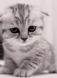 Екатерина Игнатьева