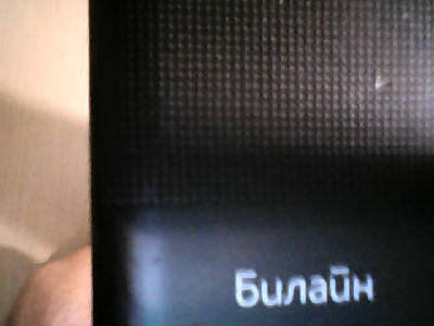 Дмитрий Шибаев