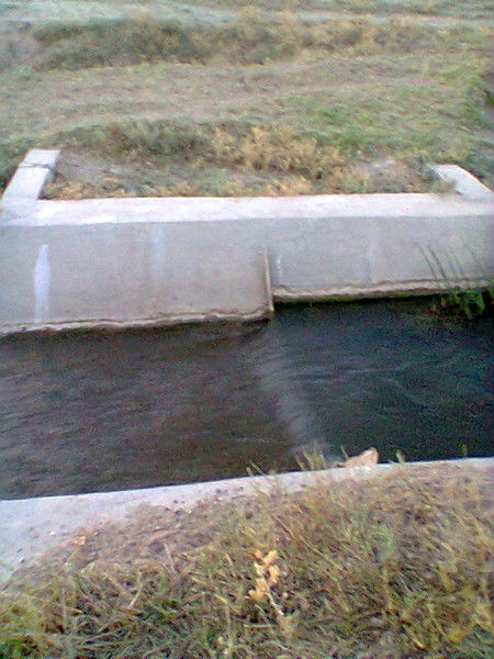 Султанбек Бекжанов