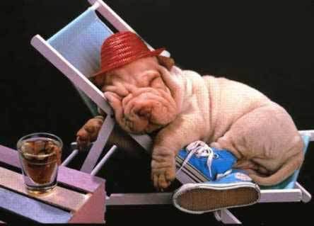 Виктор Матас