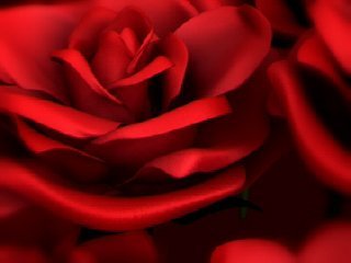 Айнаш Сейсекенова