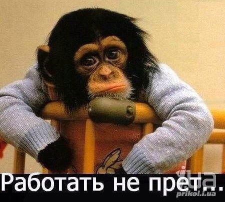 Денис Давыдов