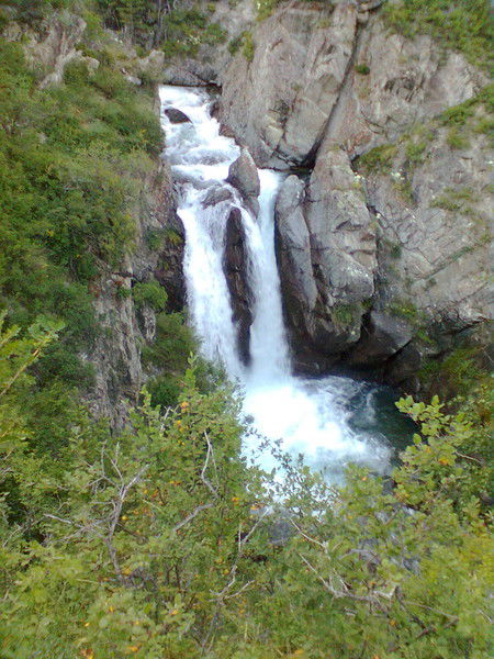 Большенарымское Лесное Хозяйство