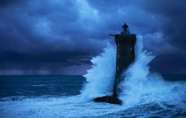 Алексей Шипов