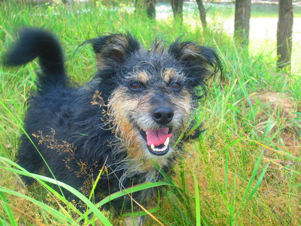 Татьяна Быстрова