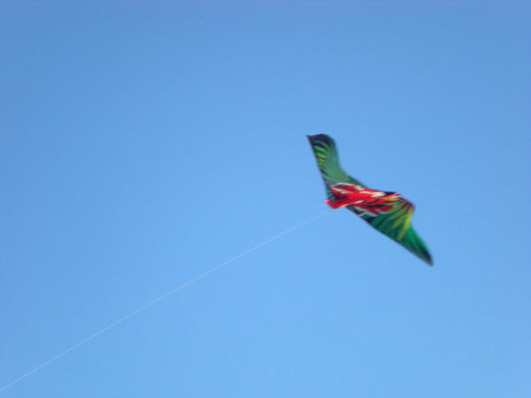 Виктор Кодачигов